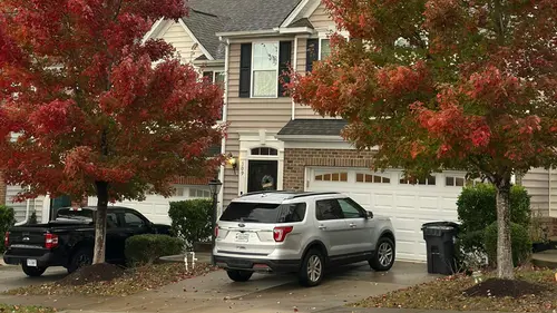 Click and Fix Tree health and care Click and Fix Tree health and care